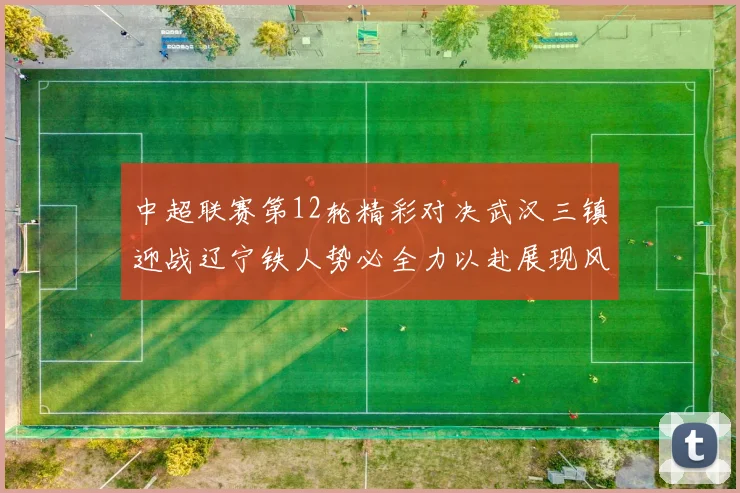 中超联赛第12轮精彩对决武汉三镇迎战辽宁铁人势必全力以赴展现风采