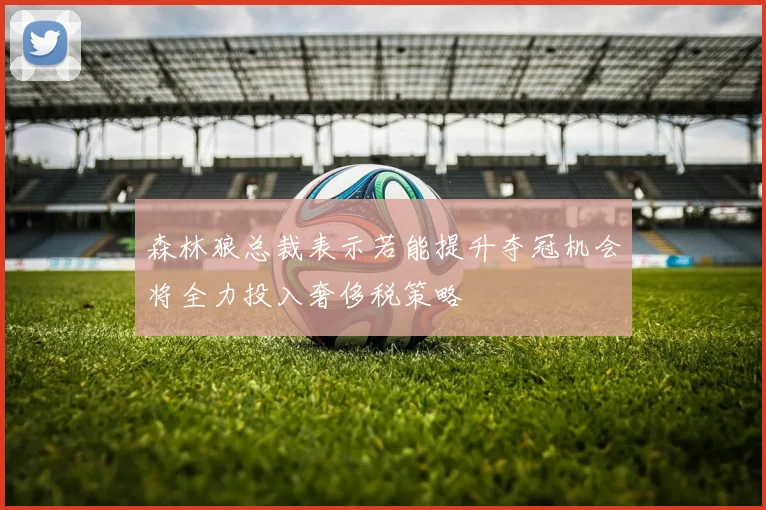 森林狼总裁表示若能提升夺冠机会将全力投入奢侈税策略