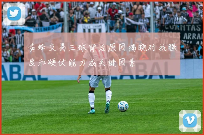 黄蜂交易三球背后原因揭晓对抗强度和硬仗能力成关键因素